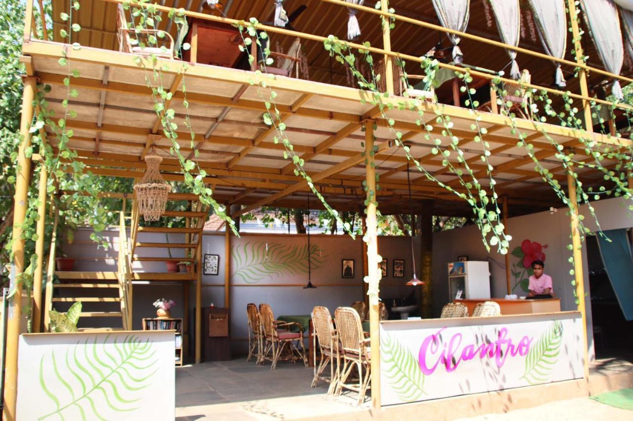 Hotel Cilantro Agonda Zewnętrze zdjęcie